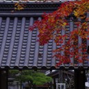 當麻寺