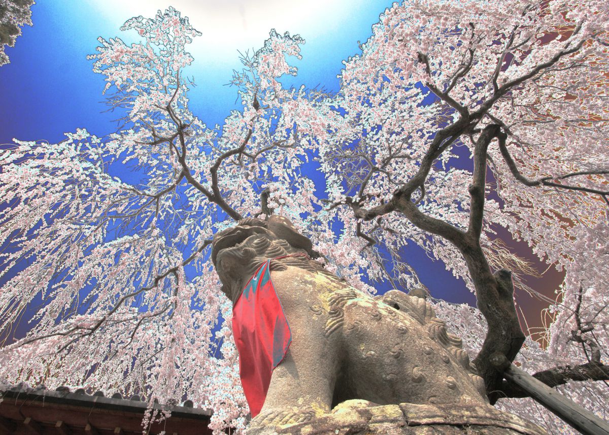 奈良氷室神社