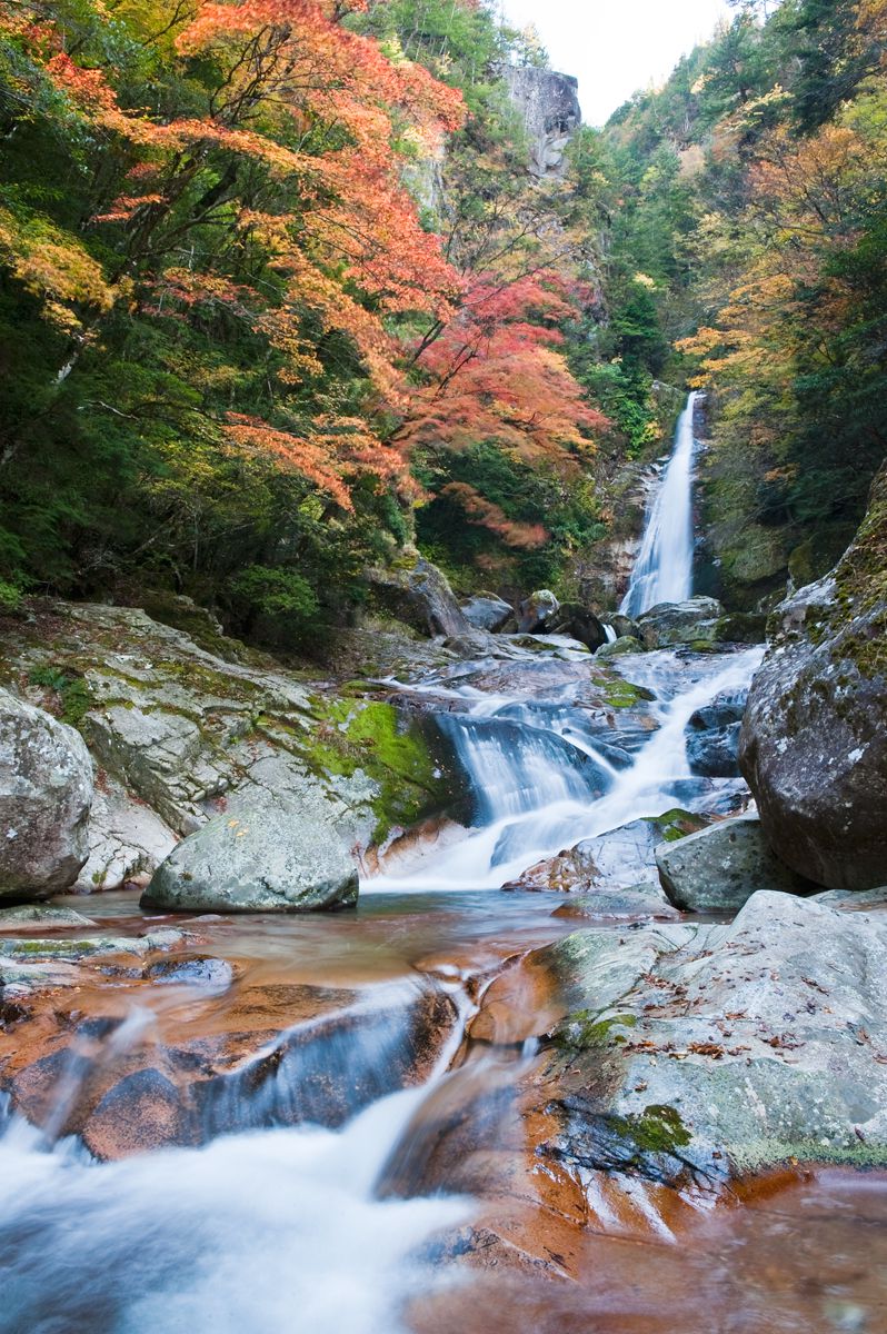 笹の滝（奈良県）