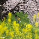 岡山 旭川