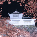 鶴山公園