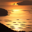 虫明湾