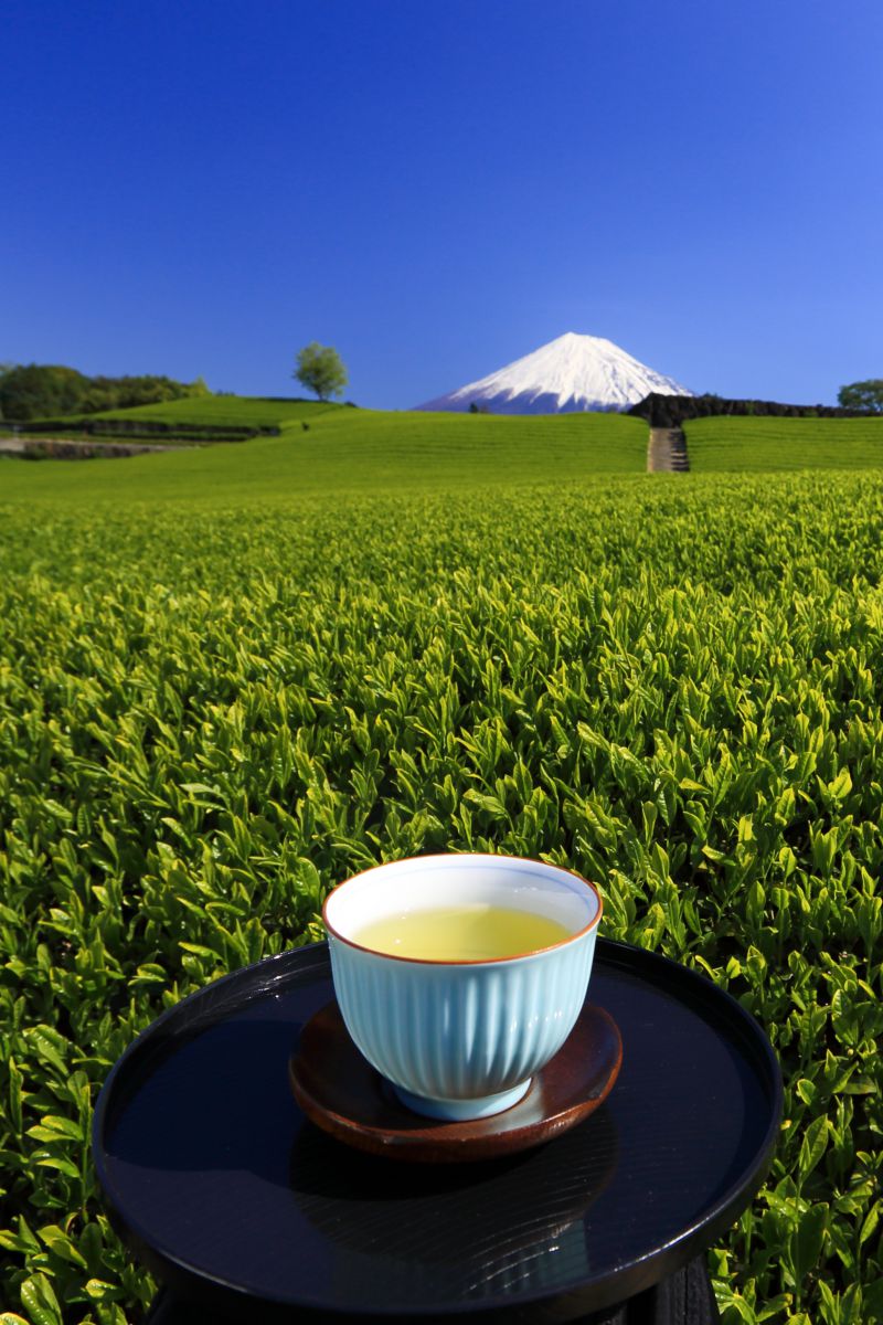茶畑（静岡県）