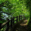 塩原渓谷歩道