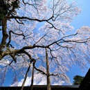 日光田母沢御用邸記念公園