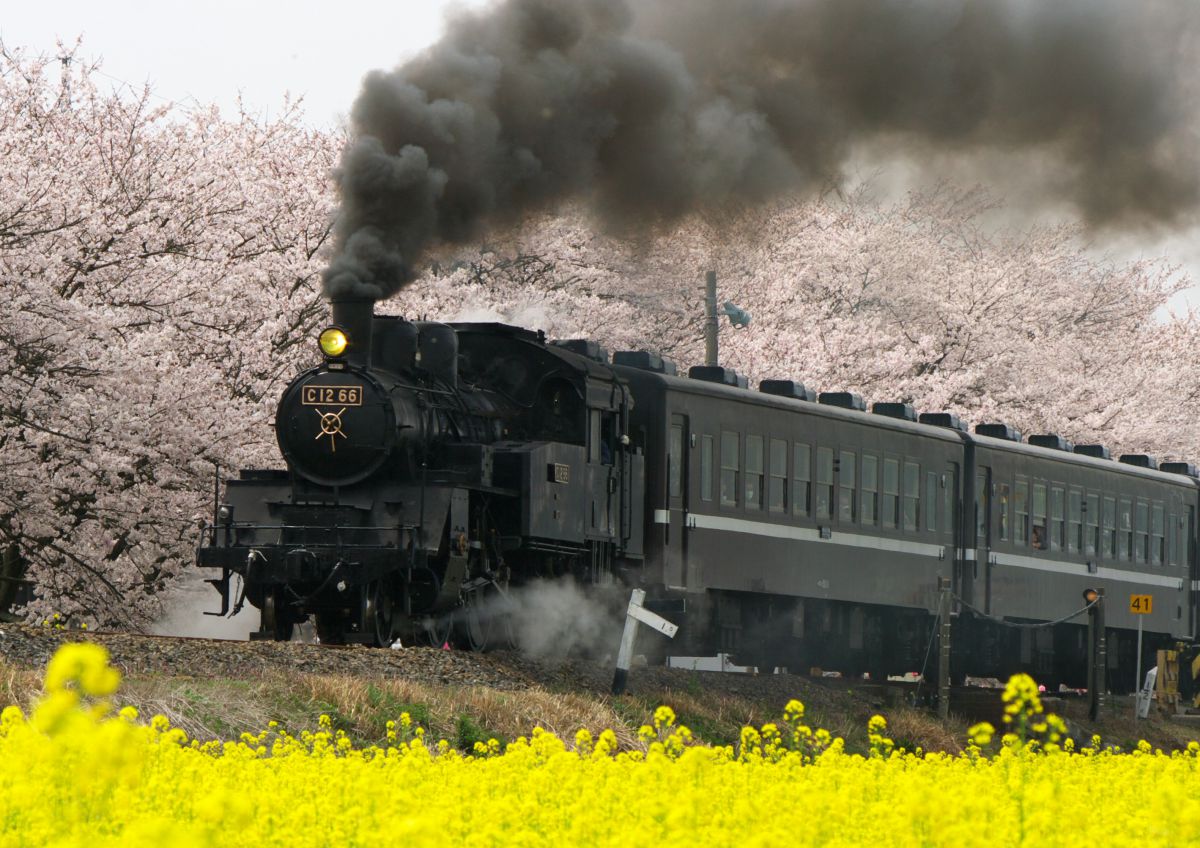 真岡鐵道（栃木県）