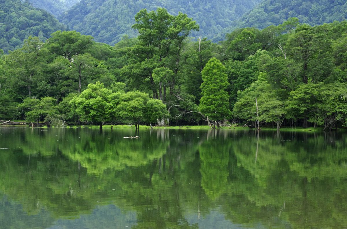 西ノ湖（栃木県）