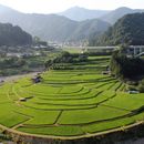 あらぎ島