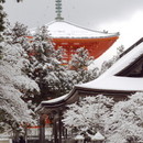 根本大塔