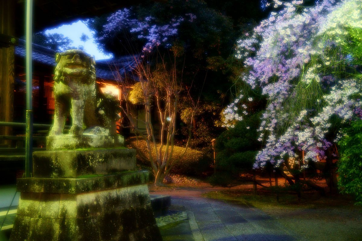 向日神社（京都府）