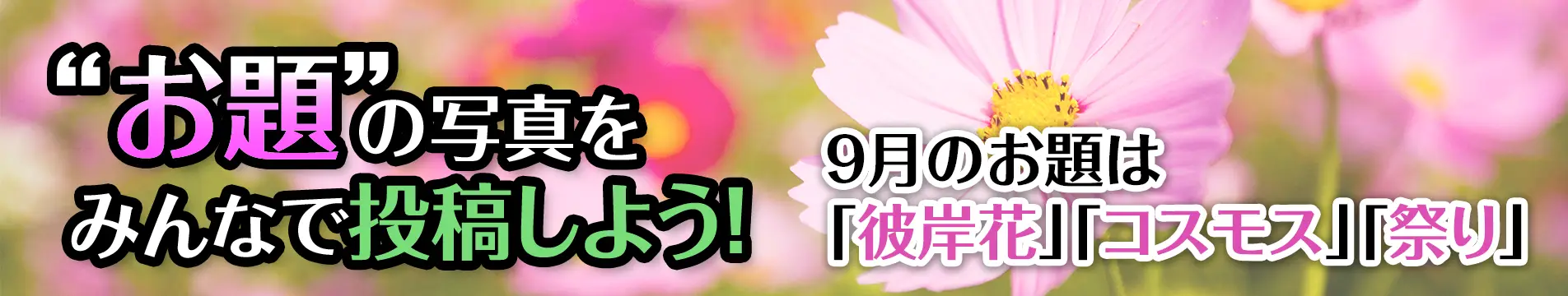 “お題”の写真をみんなで投稿しよう！