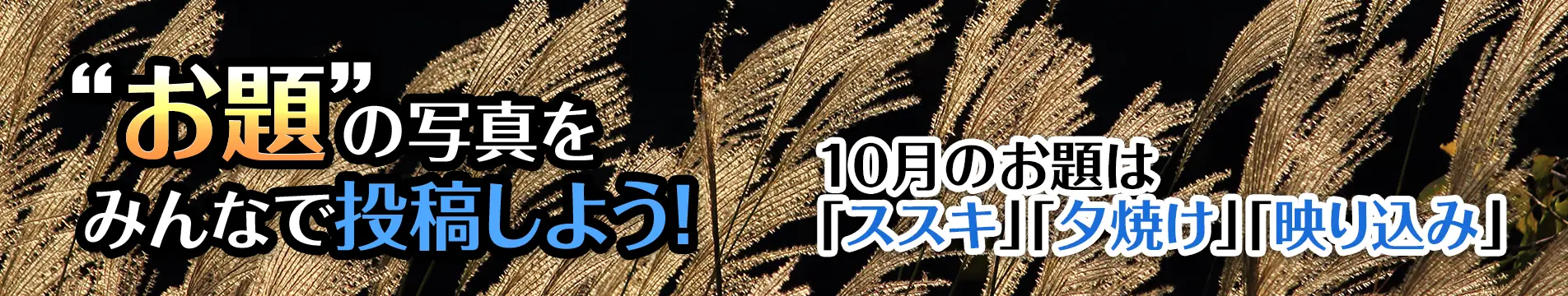 “お題”の写真をみんなで投稿しよう！